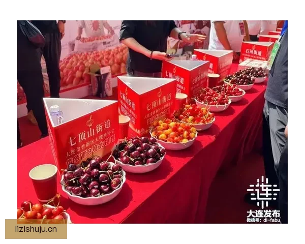 樱桃视频网：点亮你的视觉盛宴，开启无限精彩